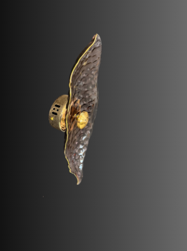 Irregular glass plate LED wall lamp in rose gold finish by N-Lighten