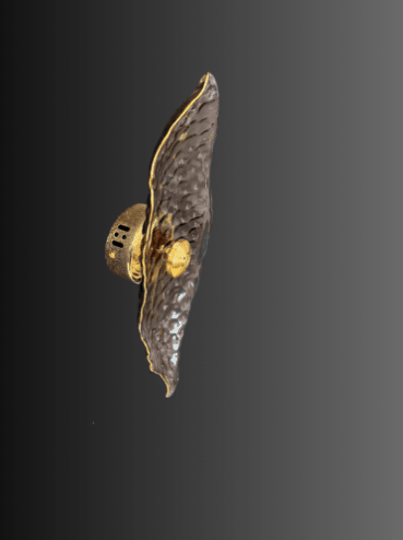 Eirenaios Wall Lamp | N - Lighten | Rose Gold Irregular Glass Plate for Bedroom & Living - N - Lighten