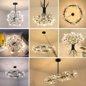 Modern dandelion LED light chandeliers  1