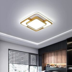 MS Modern New Style LED Ceiling Lights